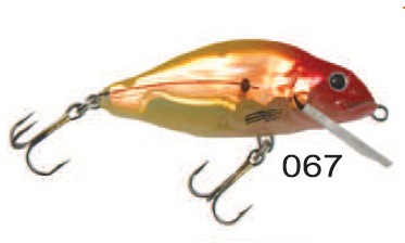Perch Floater