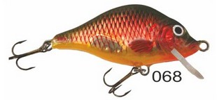 Carp Floater