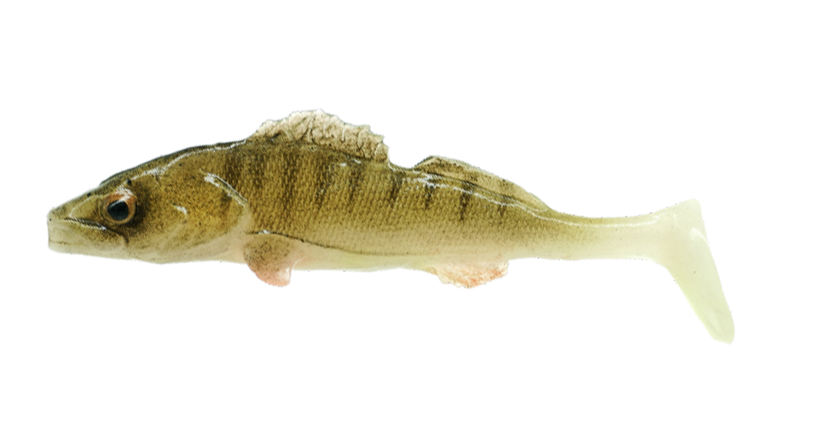 Sandacz