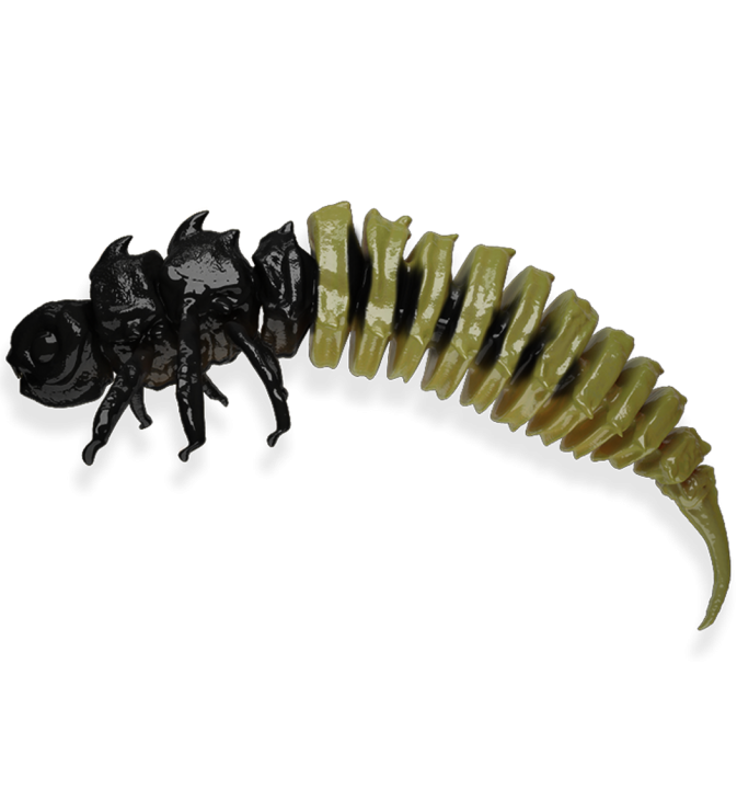 Big Fat Bug