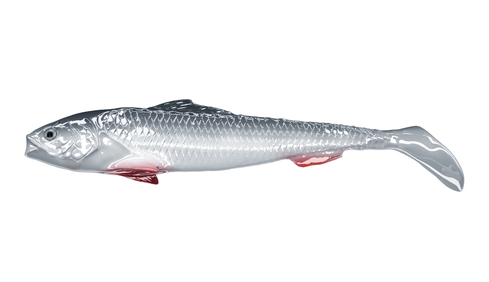 Sardine